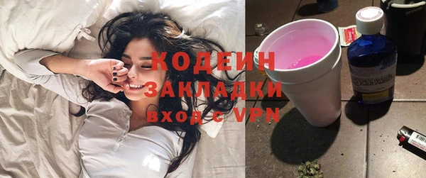 молекула духа Покров